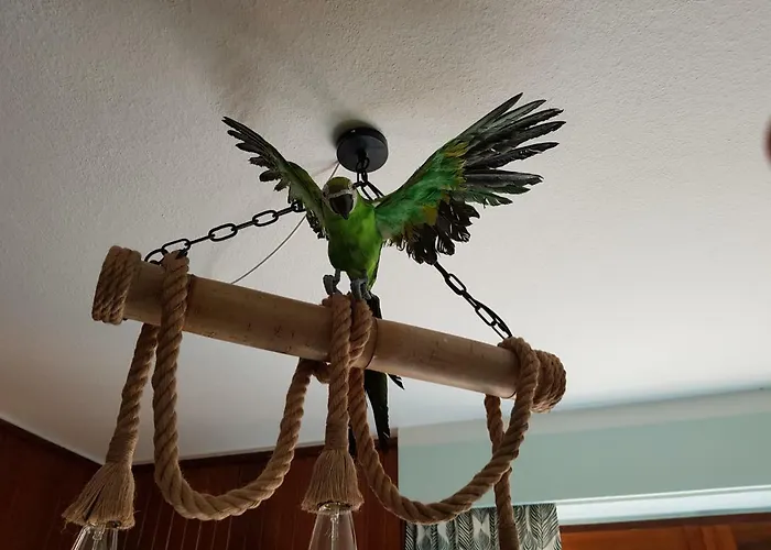 דירה Hr Townhouse Honigbach קוספלד